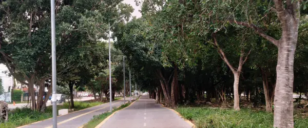 ciclopista en cancun